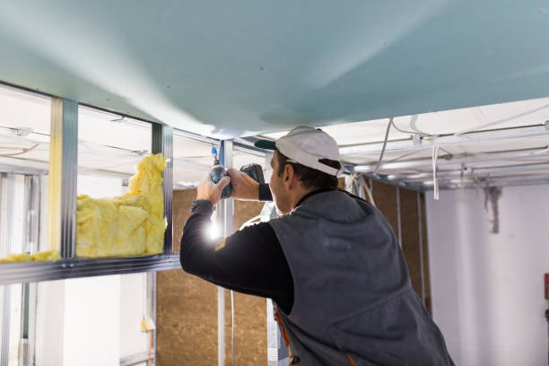 Best Insulation Installation Services in Sherman, IL