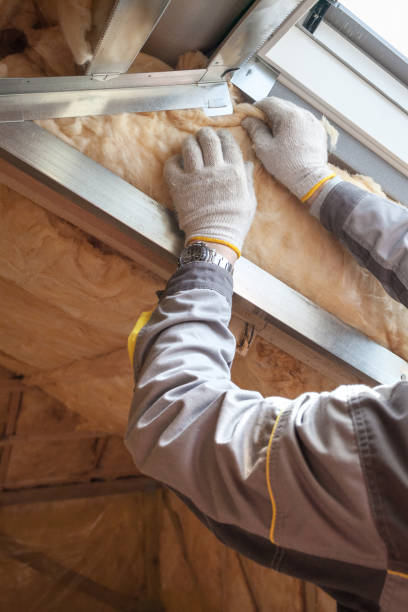 Best Energy Efficiency Solutions in Sherman, IL