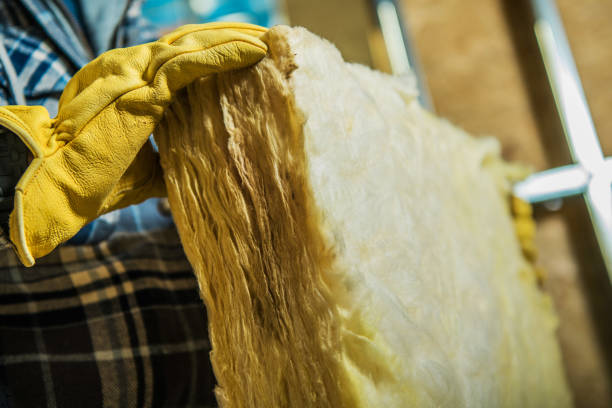 Best Specialty Insulation in Sherman, IL